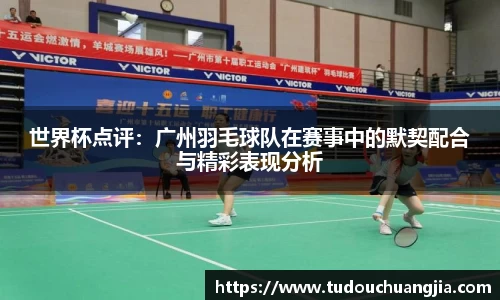 德信体育