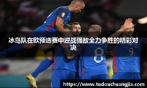 冰岛队在欧预选赛中迎战强敌全力争胜的精彩对决